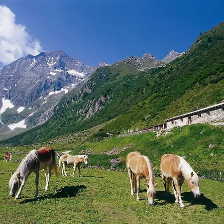 Hildegard アパート ノイシュティフト・イム・シュトゥーバイタール