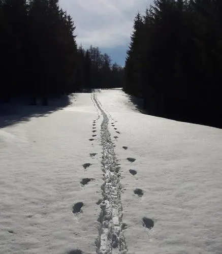 Appartamento Hildegard *