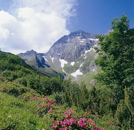 Hildegard * Neustift im Stubaital