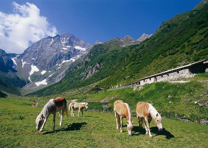 Hildegard Apartamento Neustift im Stubaital
