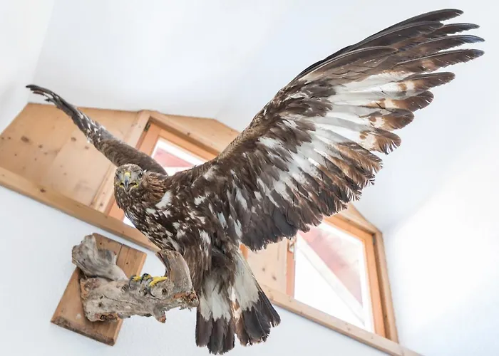 Hildegard Apartamento